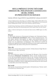 (PDF) Sur la présence d'une très rare orobanche, Phelipanche ...