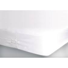 a bed buglock plus mattress protector