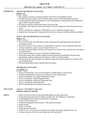 Project Manager Duties Responsibilities Resume Template And Cover