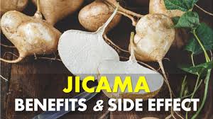 jicama benefits and side effects you