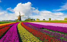 Holland is considered a liberal country. Holland Travel Blog Up Close In Deep The Slow Road