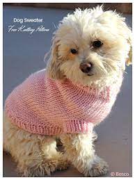 Knit Dog Sweater Free Knitting Patterns