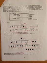 Some of the worksheets for this concept are pedigrees practice, pedigree charts work, pedigree analysis activity answer key, chapter 7 pedigree analysis biology, name date period, pedigree analysis, lesson 2. Key Pedigree Analysis Worksheet Mrs Paulik S Website