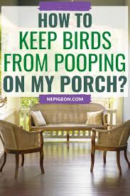Keep Birds From Pooping On My Porch