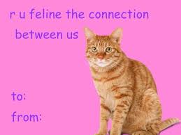 Each is decorated with red and black text to deliver your. Cat Valentine S Day Card Tumblr Valentines Day Memes Valentines Memes Meme Valentines Cards