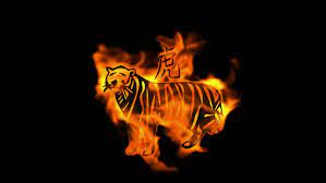 Maybe you would like to learn more about one of these? Chinese Zodiac Of Fire Tiger Stock Footage Video 100 Royalty Free 3297533 Shutterstock