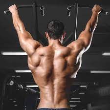 11 best back exercises to build muscle