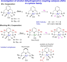Bulky PNP Ligands Blocking Metal‐Ligand Cooperation Allow for Isolation of  Ru(0), and Lead to Catalytically Active Ru Complexes in Acceptorless  Alcohol Dehydrogenation 