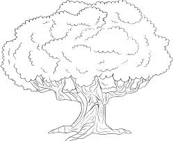 Tree Coloring Sheets Family Tree Coloring Pages Book Trees