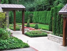 Planting A Privacy Screen With Arborvitaes