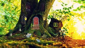 Whimsical Books About Fairy House
