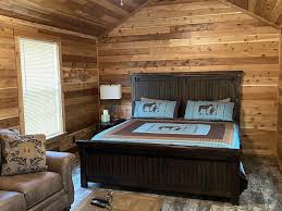 one bedroom cabin w sleeper sofa in
