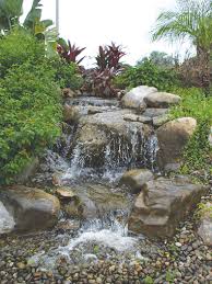 the art of the waterfall pond trade