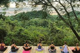 8 costa rica yoga teacher trainings for