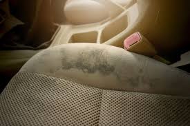 remove bike grease from car upholstery