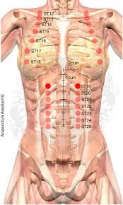 Acupuncture Point St19 Burong Stomach Meridian