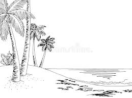 Polish your personal project or design with these palm tree transparent png images, make it even more personalized and more attractive. Png Clipart Clip Art Pine Tree Beach Black And White
