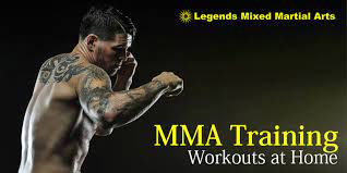 mma exercises you can do at home
