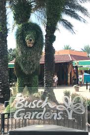 visit busch gardens ta bay