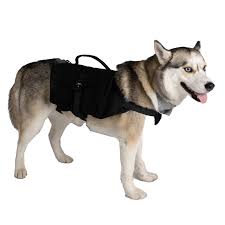 mountain hound trailblazer dog backpack