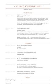 Resume CV Cover Letter  brand strategist resume samples  bonnie p    