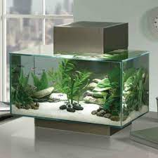 Alibaba.com offers 1,328 modern fish tank products. I Want This Fish Tank Decorations Home Aquarium Fish Aquarium Design
