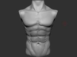 Here we explain the major muscles of the human body. Tomas Sosto Male Chest Anatomy Practice