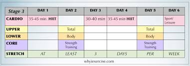 Free Exercise Program Workout Calendar