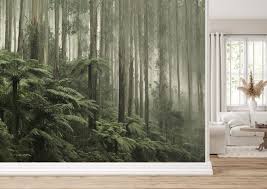 Australian Rainforest Wallpaper