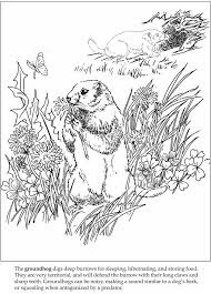 Coloring, sticker & activity books. Welcome To Dover Publications Animal Coloring Pages Animal Coloring Books Coloring Pages