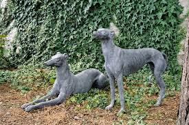 Large Lead Greyhound Garden Statues