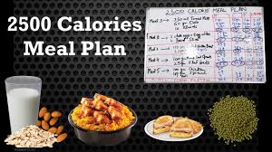 indian t plan for fast weight gain