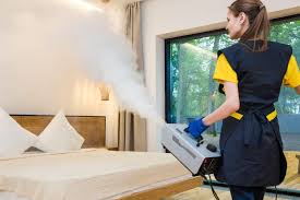 bed bug heat treatment versus steam