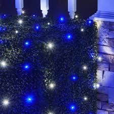 5mm 4 X 6 Blue Cool White Led Net Lights Green Wire