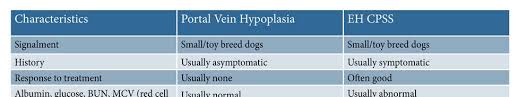Read on to learn all about liver shunts in dogs. Https Vetmed Illinois Edu Wp Content Uploads 2015 09 54 Portosystemic Shunts Pdf