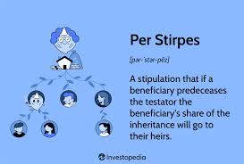 per stirpes meaning and uses in estate