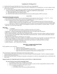 guidelines for writing an argumentative essay 