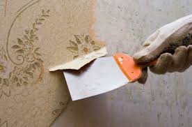 get wallpaper removal the best in