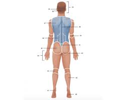 Check spelling or type a new query. Body Regions Back Quiz