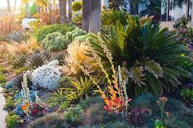 How To Create A Drought Tolerant Garden