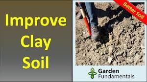 will gypsum improve clay soil garden