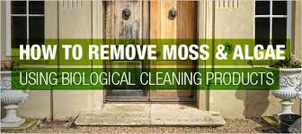 how to remove moss and algae using