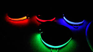 Dog Collars Led Light Up Wow Pet Safety Chain Id Tag Youtube