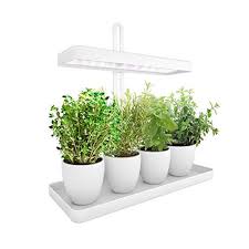led indoor herb garden height