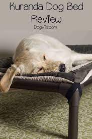 kuranda dog bed review which style is