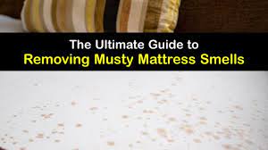 Musty Smelling Mattress Getting Rid
