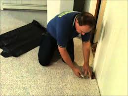How To Remove Wet Carpet In Basement