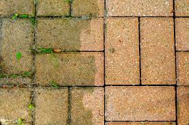how to clean your brick patio step by