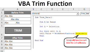 vba trim function to remove es