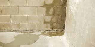 Damp Basement Here S How To Get It Dry